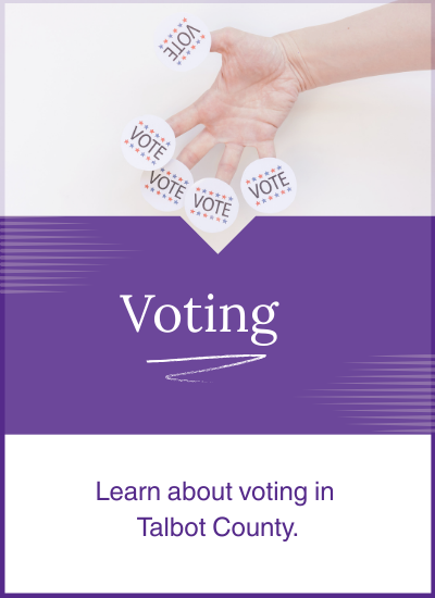 Voting